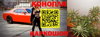 прущие грибы Лесосибирск